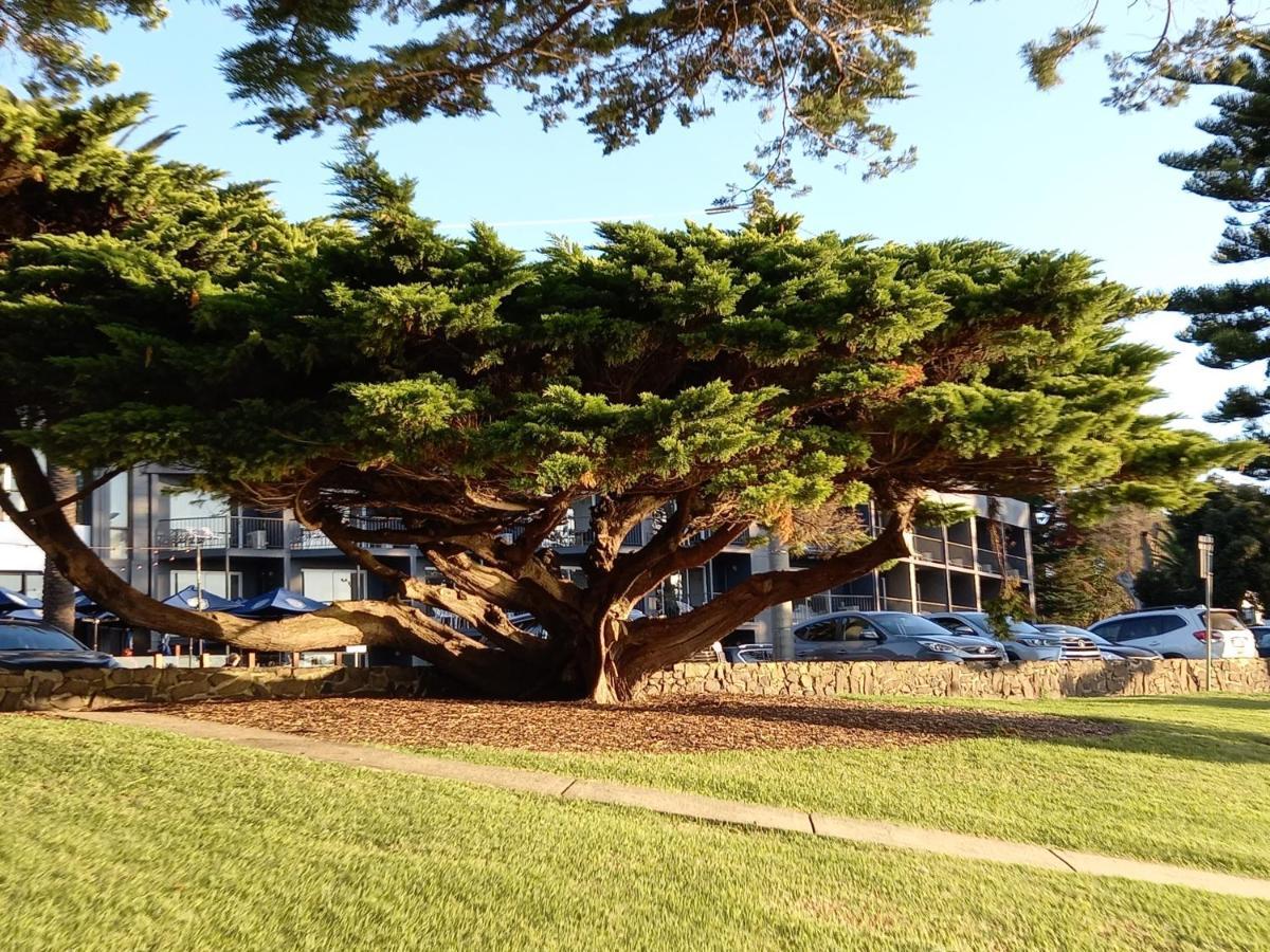 Apartments In Phillip Island Towers - Block C Cowes Εξωτερικό φωτογραφία
